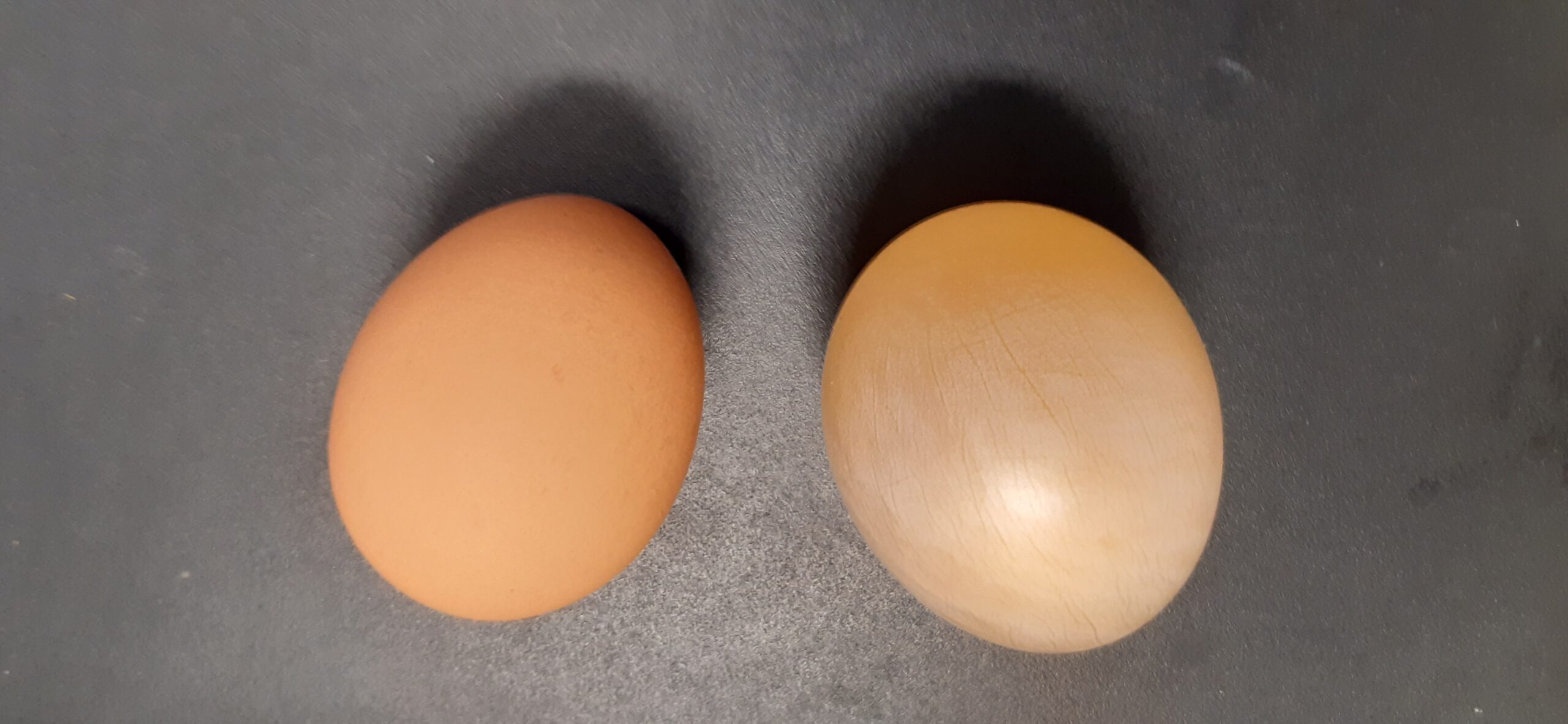 Uovo e osmosi